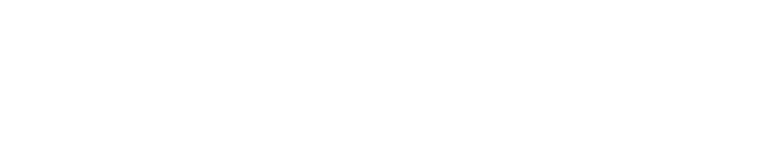 logo-for-header-2 white 2